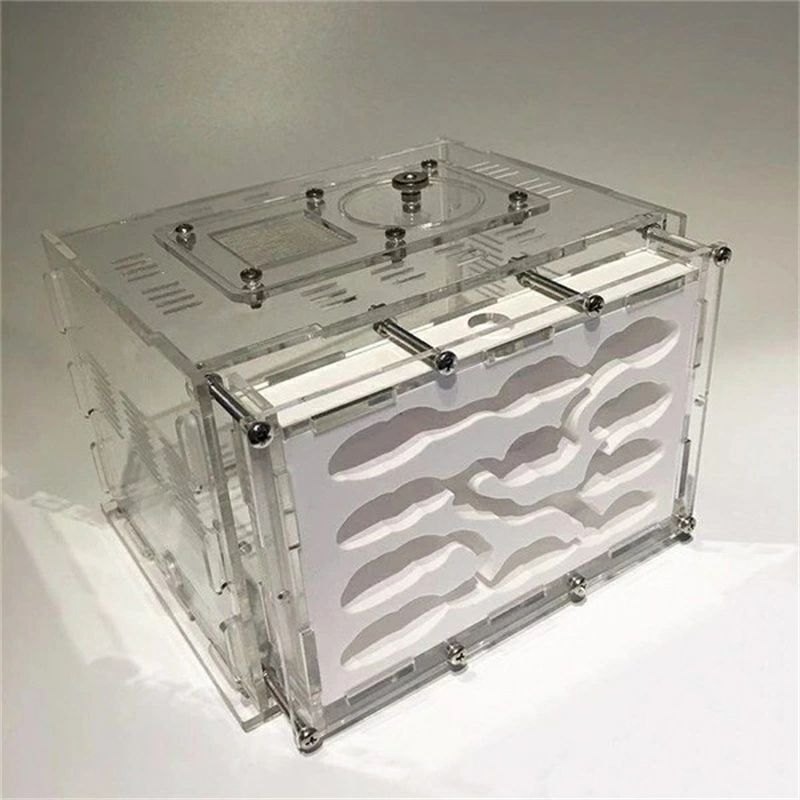 期間限定5％OFFクーポン 最安値挑戦／虫かご 飼育ケース アリの巣 蟻 観察 キット 石膏 アクリル 給餌エリア Lサイズ 自由研究 小学生 あり 蟻 飼育セット 実験セット 観察 夏休み 学習用 　おもしろ実験