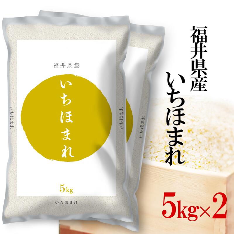 精米 お米 5kg×2 令和7年産 伊丹米 福井県産いちほまれ 白米 内祝い 熨斗 のし 承ります