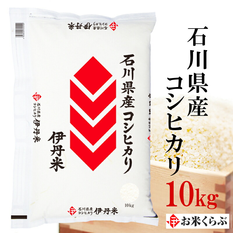精米 米 10kg 令和7年産 伊丹米 石川県産コシヒカリ 白米 内祝い 熨斗 のし 承ります