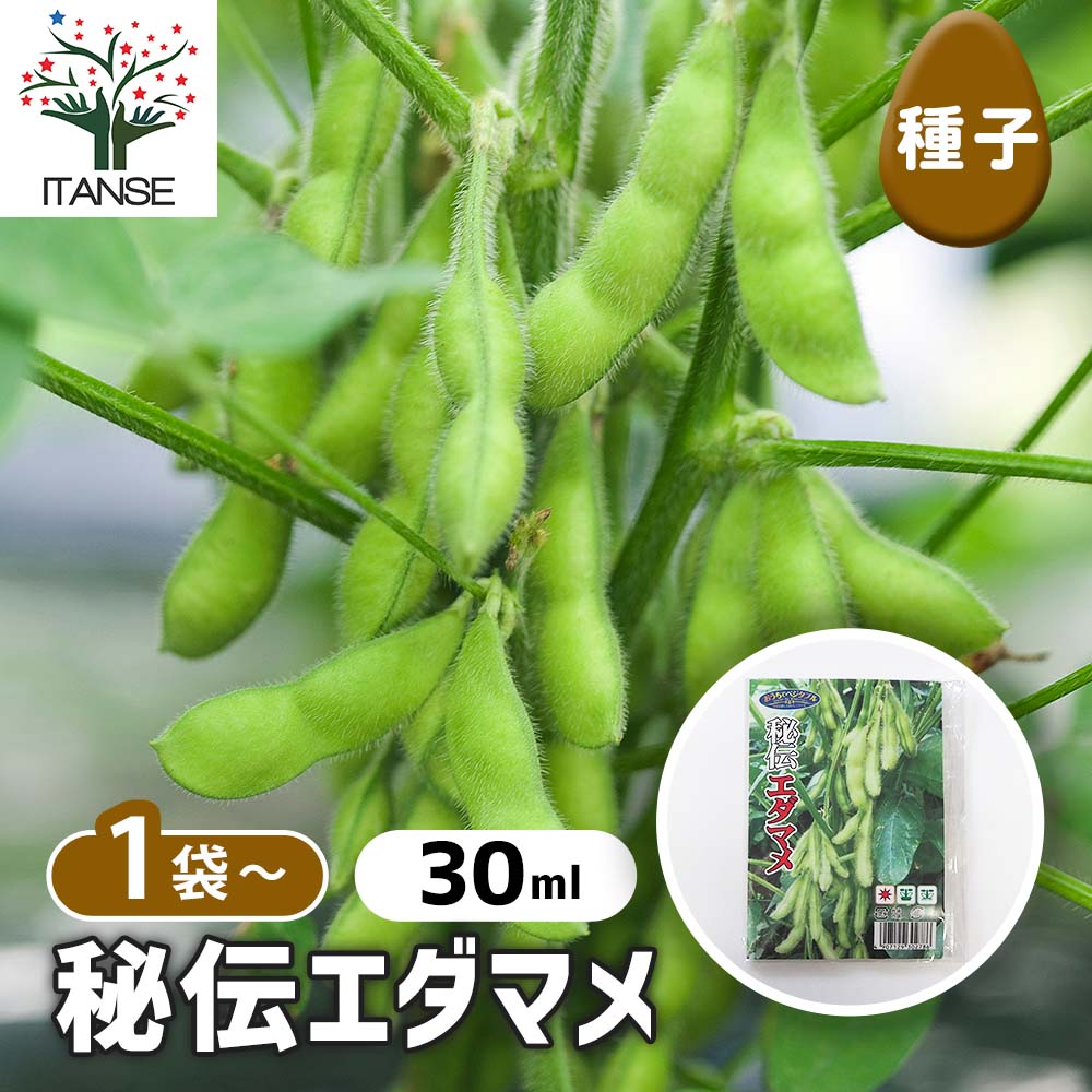 楽天市場】野菜種子 エダマメ「大雪みどり」50ml（約80粒）／1dl／1L