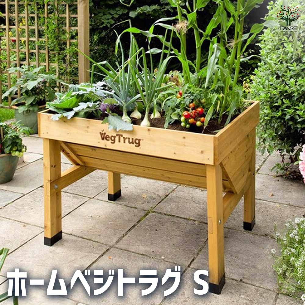 【送料無料】 ベジトラグ ホームベジトラグS 【 資材 ／1個売り 】 ガーデニング 栽培 家庭菜園 園芸 野菜 ハーブ 花 花苗 花木 苗 土 用土 培養土 水やり 楽しい 35,737円