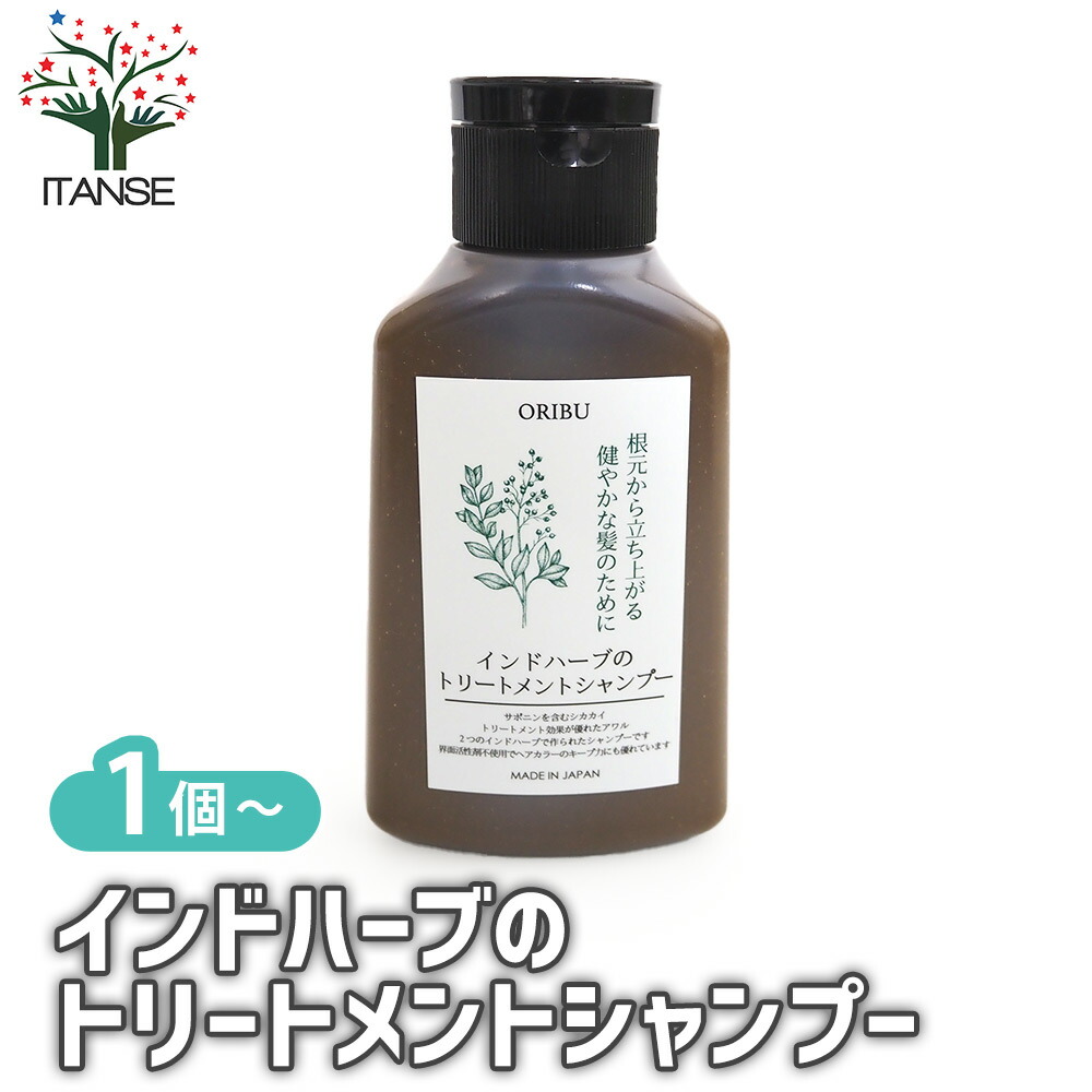 観葉草木特集