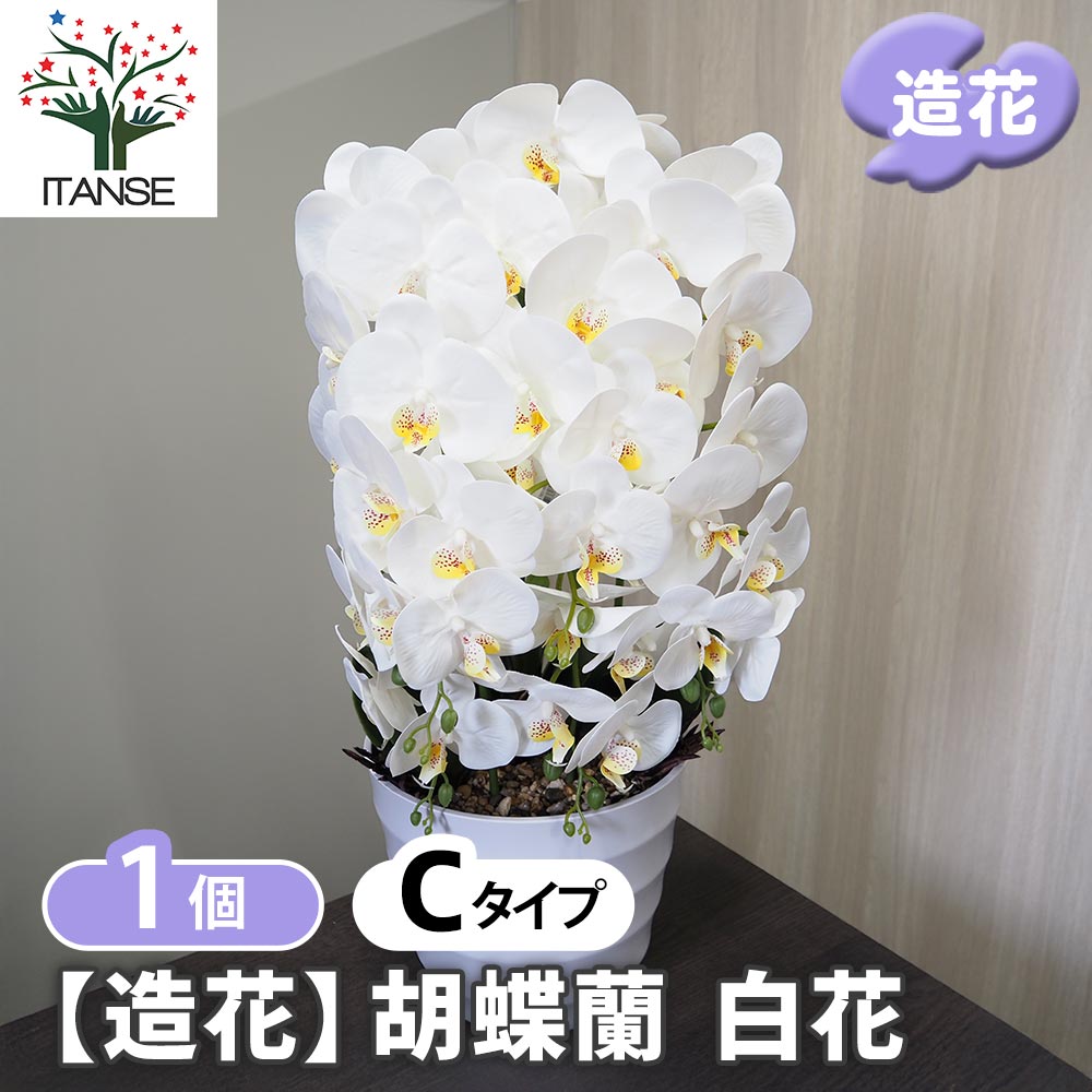 【マラソン期間P5倍】 造花 胡蝶蘭 白花 【 造花 Cタイプ/1個売り 】 フェイクフラワー フェイクグリーン インテリア インテリアグリーン 飾り アーティフィシャルフラワー プレゼント お祝い 祝 贈り物|植物販売のITANSE店