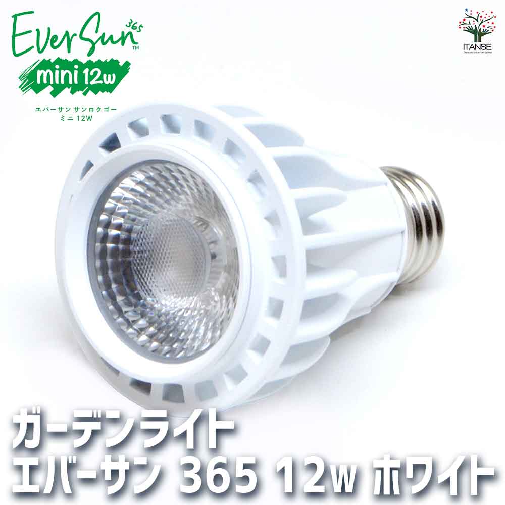 Ever Sun 365 エバーサンサンンロクゴー 植物育成用ライト エバーサン365(サンロクゴー) 黒&スタンドセット