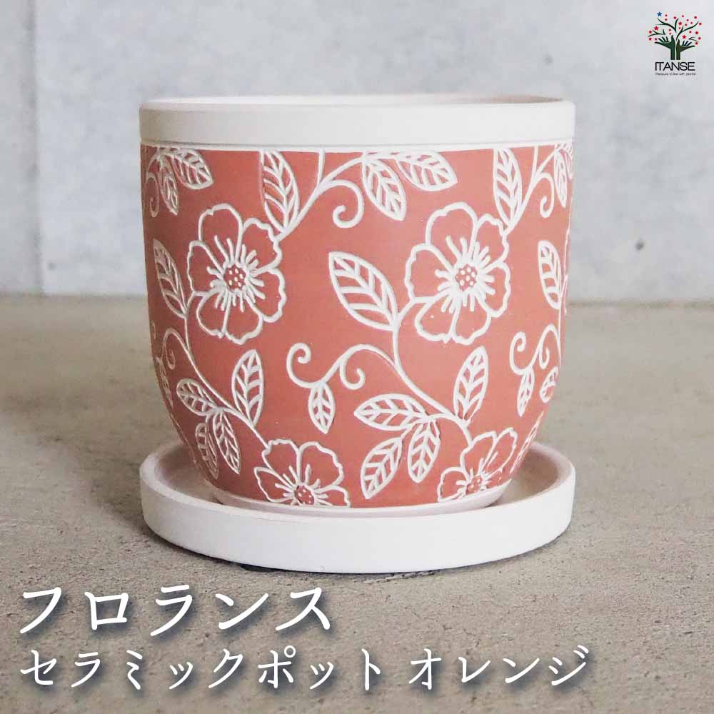 楽天市場】【マラソン期間☆Pアップ】陶器鉢 ニューセラ リーフ