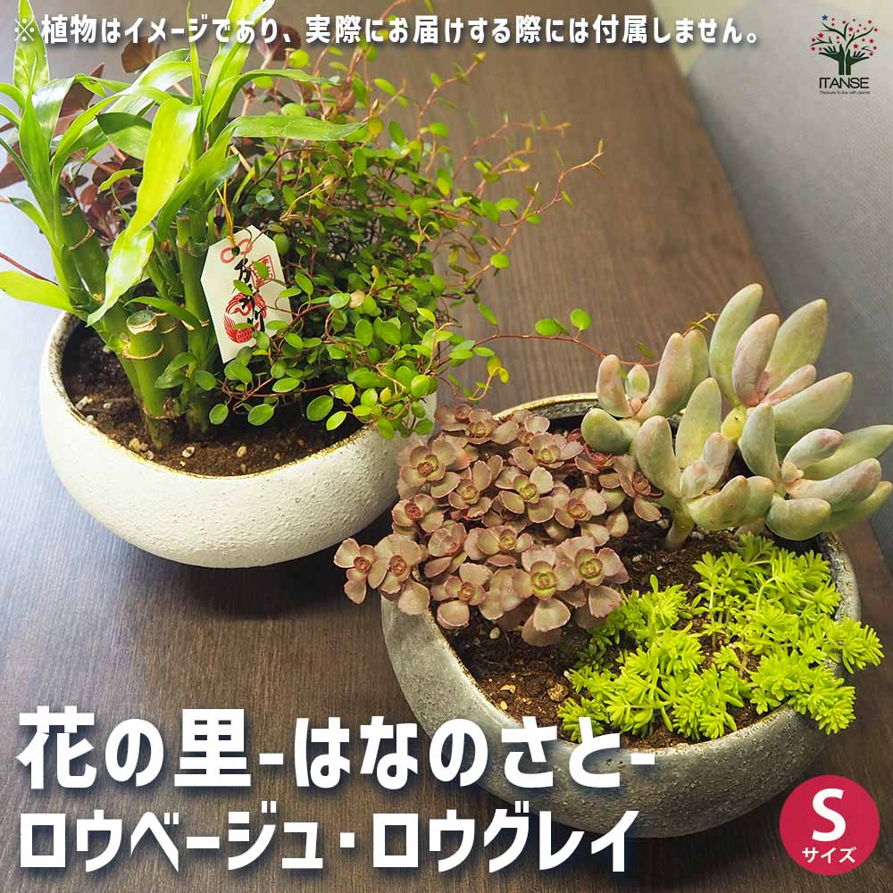 【送料無料】花の里-はなのさと- ロウ2色 ( ベージュ グレイ ) 陶器鉢 S 1個売り 鉢 セラミック鉢 盆栽 アンティーク インテリア 送料無料 即納 6,286円