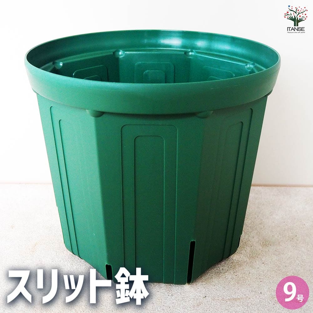 楽天市場】【送料無料】スリット鉢 4〜8号ロングセット プラ鉢 5種類