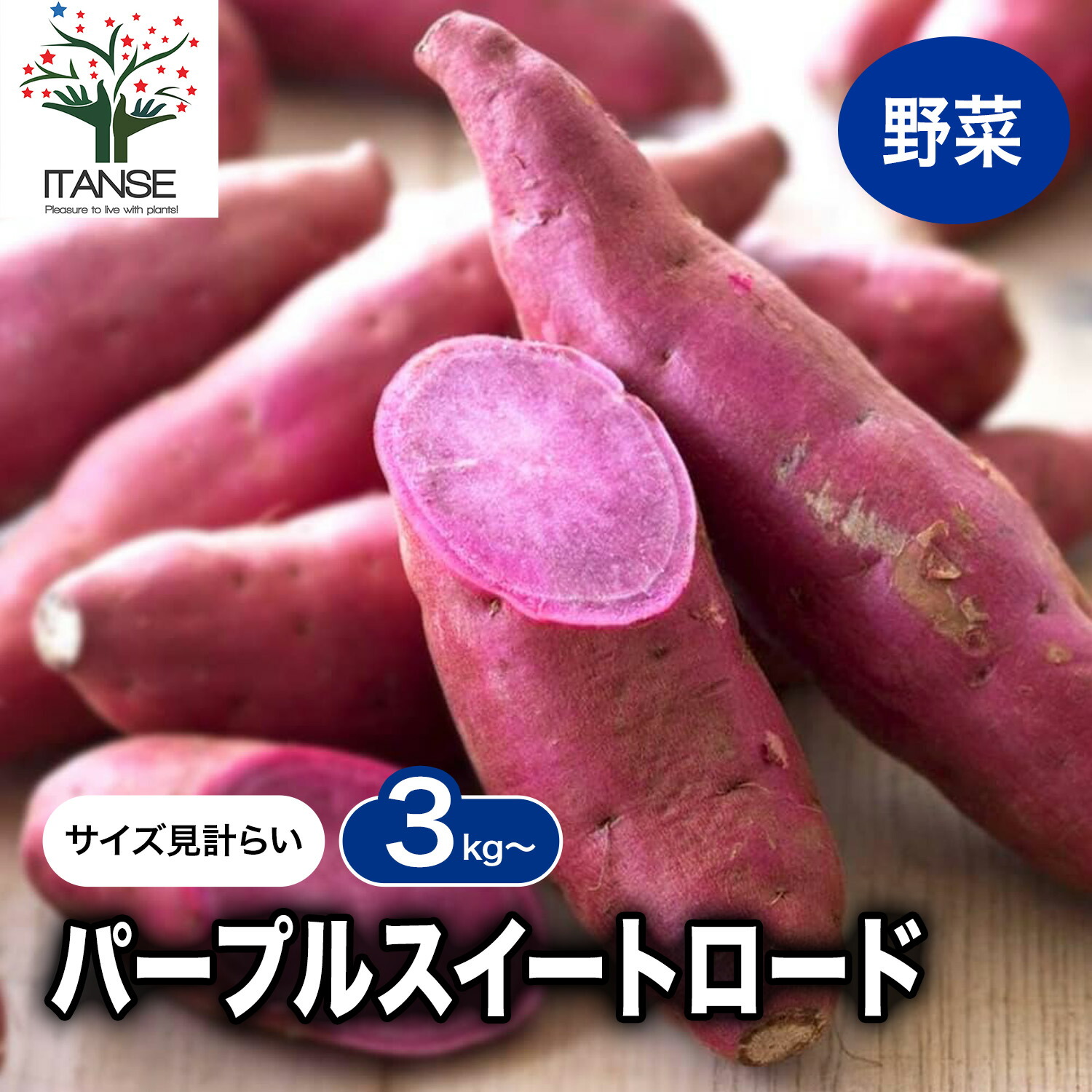 楽天市場】【送料無料】パープルスイートロード 訳ありサイズ見計い