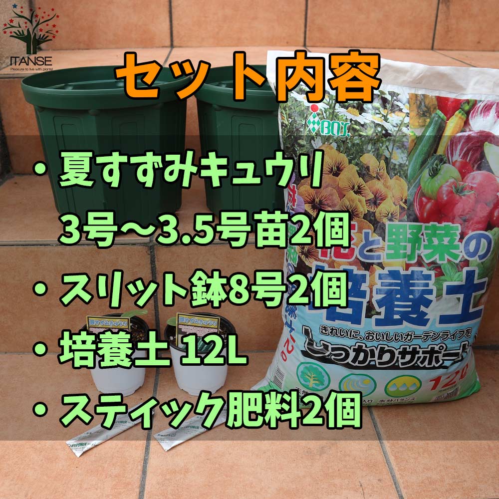 マックスヘルスマート60カプセル 栃本 牛黄カプセル 送料無料 ごおう 