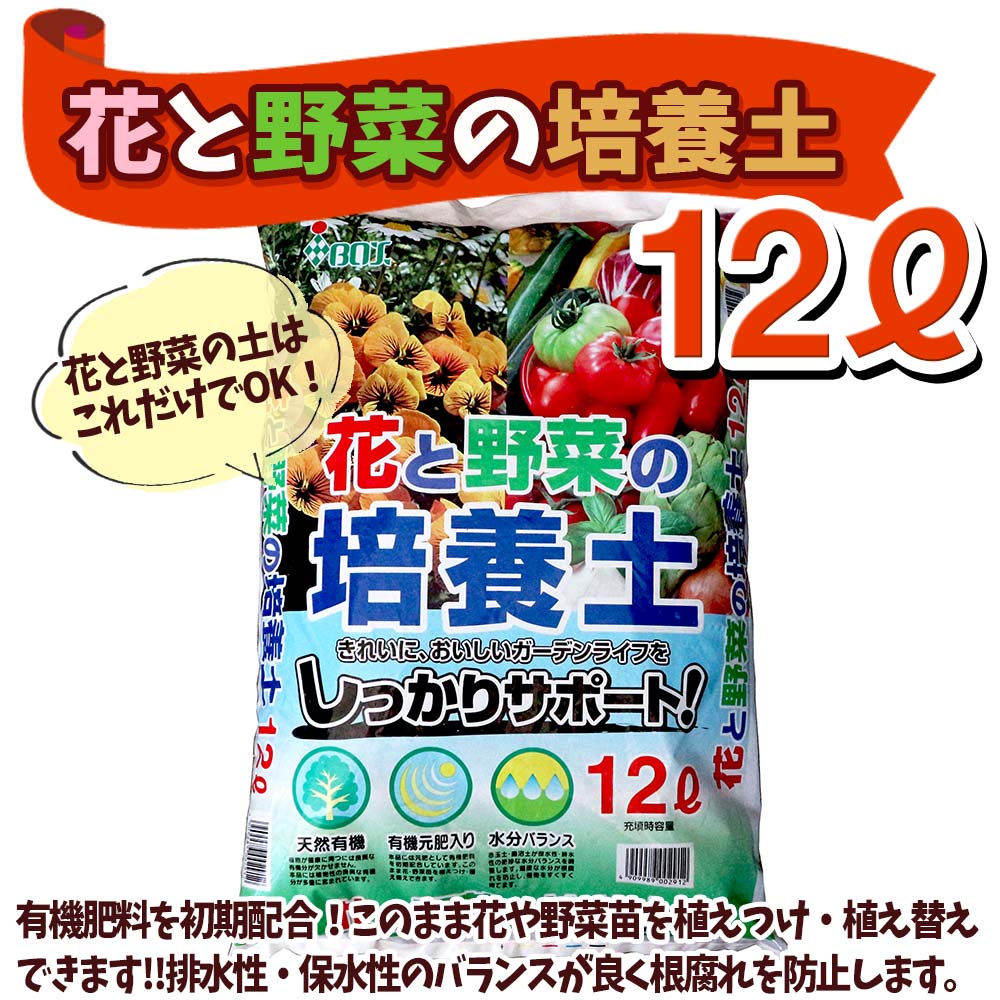 貨物輸送無料 ロシアンケール お買い得 育てる起こす 野菜の苗 9cmポット苗 お買い得2個セット 栽培セット スターターセット 栽培道具一式 このしばしば栽培セット 野菜苗 草苗 一戸家庭菜園 ベランダ ガーデニング Daemlu Cl