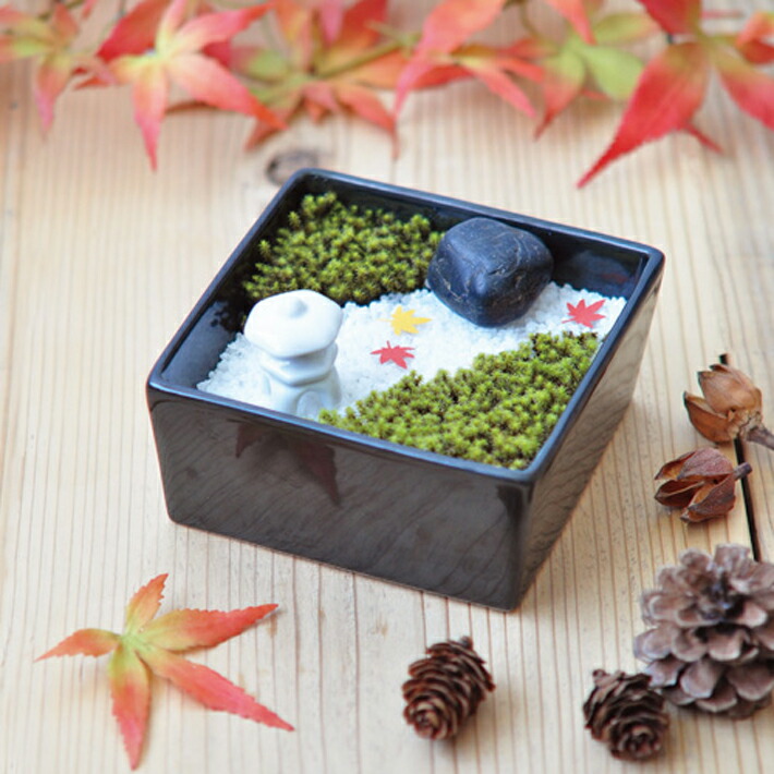 かわいい 送料無料 苔日和 Gd 759 苔庭キット 盆栽 ガーデニング プレゼント ギフト 贈り物 母の日 父の日 敬老の日 観葉植物 コケ 箱庭 ミニチュア Abamedyc Com