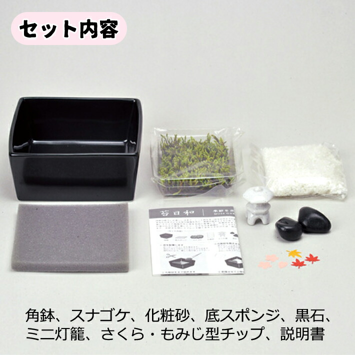 かわいい 送料無料 苔日和 Gd 759 苔庭キット 盆栽 ガーデニング プレゼント ギフト 贈り物 母の日 父の日 敬老の日 観葉植物 コケ 箱庭 ミニチュア Abamedyc Com