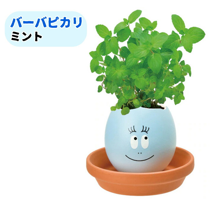 送料無料 バーバパパ エッグリング 栽培セット Pl 43 陶器のたまご キット ガーデニング プレゼント ギフト 贈り物 送料込 敬老の日 母の日 バーバズー ハーブ インテリアグリーン バーバピカリ 観葉植物 バジル ワイルドストロベリー 父の日 ミント
