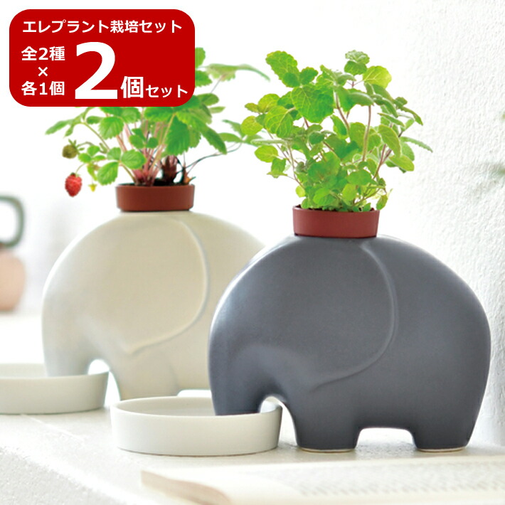 象型観葉植物 鉢植え set-0525_1.jpg