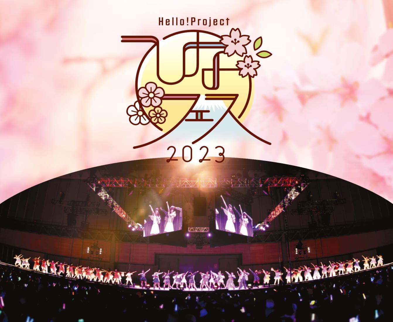 Hello! Project ひなフェス 2023 (Blu-ray) (特典なし)