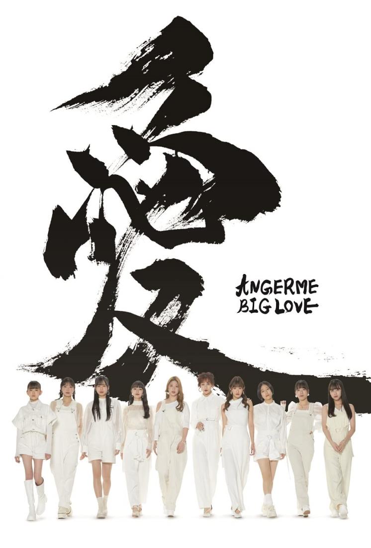 BIG LOVE 初回生産限定盤A(特典なし)