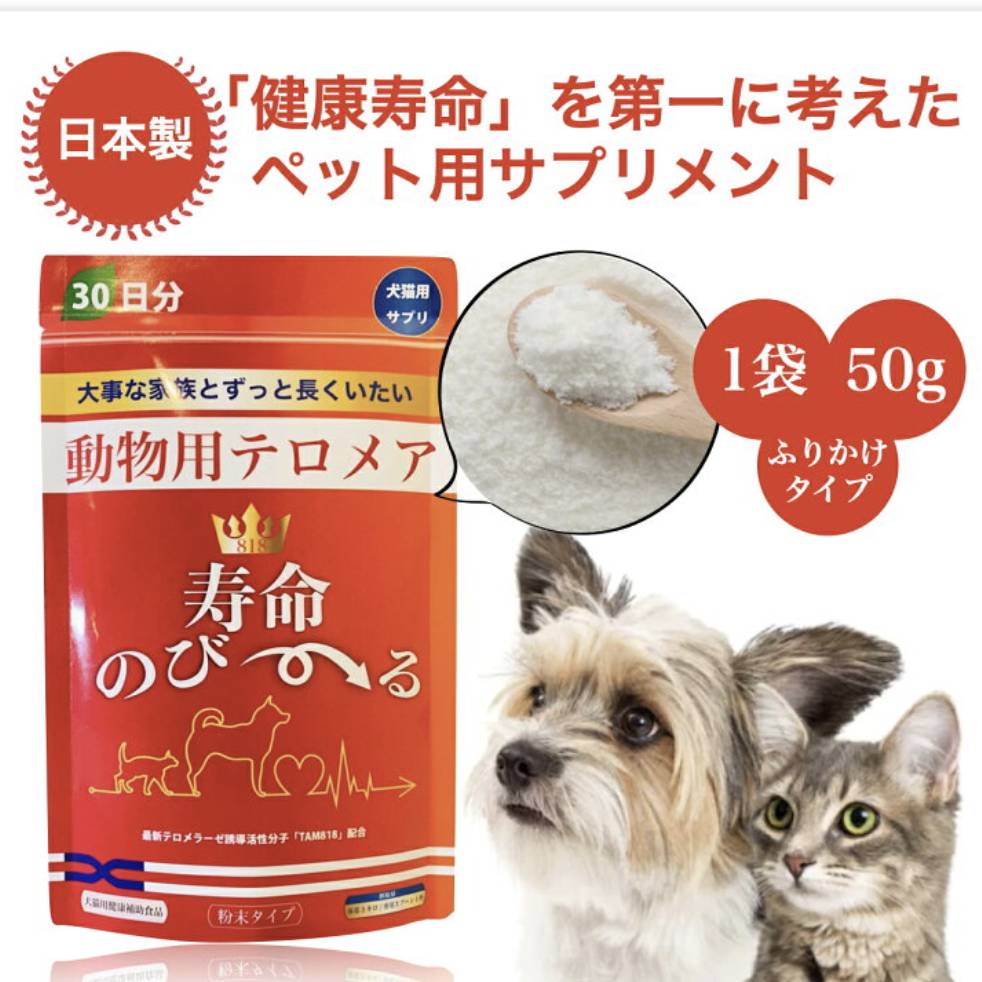 ペット サプリ 犬 ねこ 動物用 サプリメント 猫 餌 ふりかけ ねこのえさ ペットフード ペットサプリ 全成長期 犬用 オリゴ糖 犬用サプリメント  国産 無添加 パウダー 犬のえさ 犬用ふりかけ 高齢犬 ペッタム 寿命のびーる 50g 賞味期限 2025.1.15 | 一期一会本舗