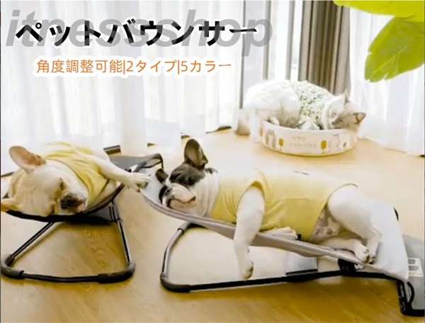 楽天市場】犬の運動器 ペットランPR700【小型犬用ルームランナー】走行