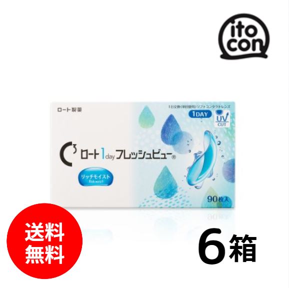【送料無料】 ロート1dayフレッシュビューリッチモイスト 90枚 6箱
