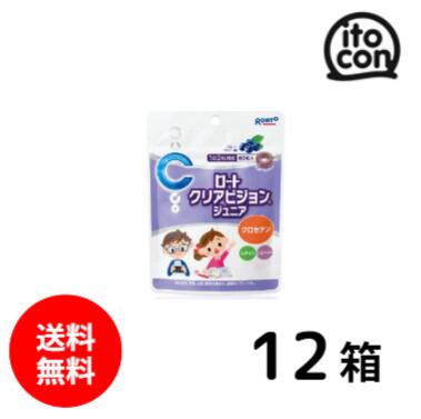【貨物輸送無料】 ロートクリアビジョンジュニア 60粒 12個 （約12か月分）