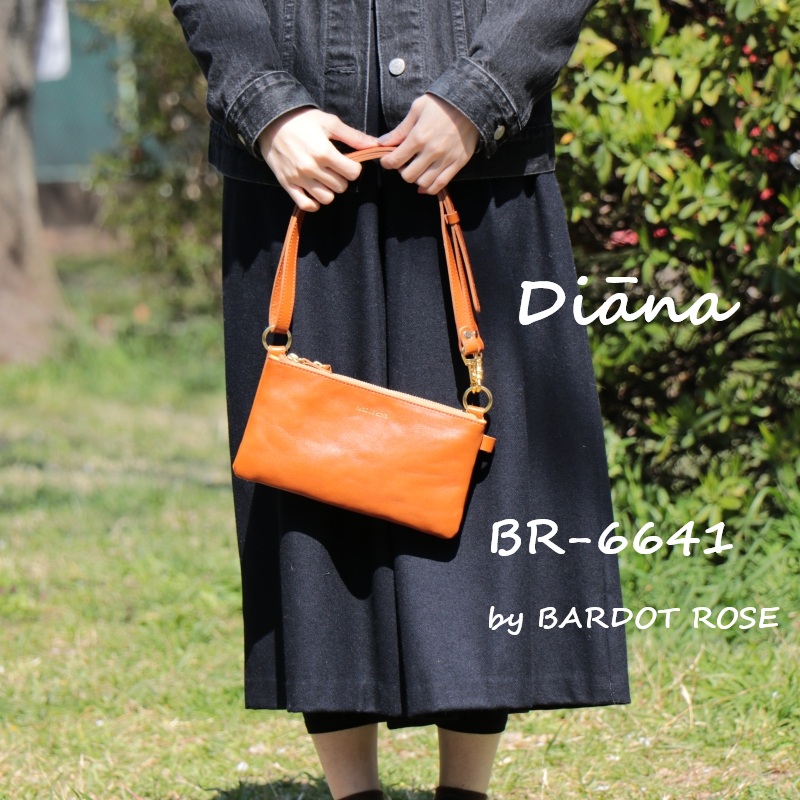 【REGALO】BARDOT ROSE BR-6641・ ディアーナ/2層ミニ肩先