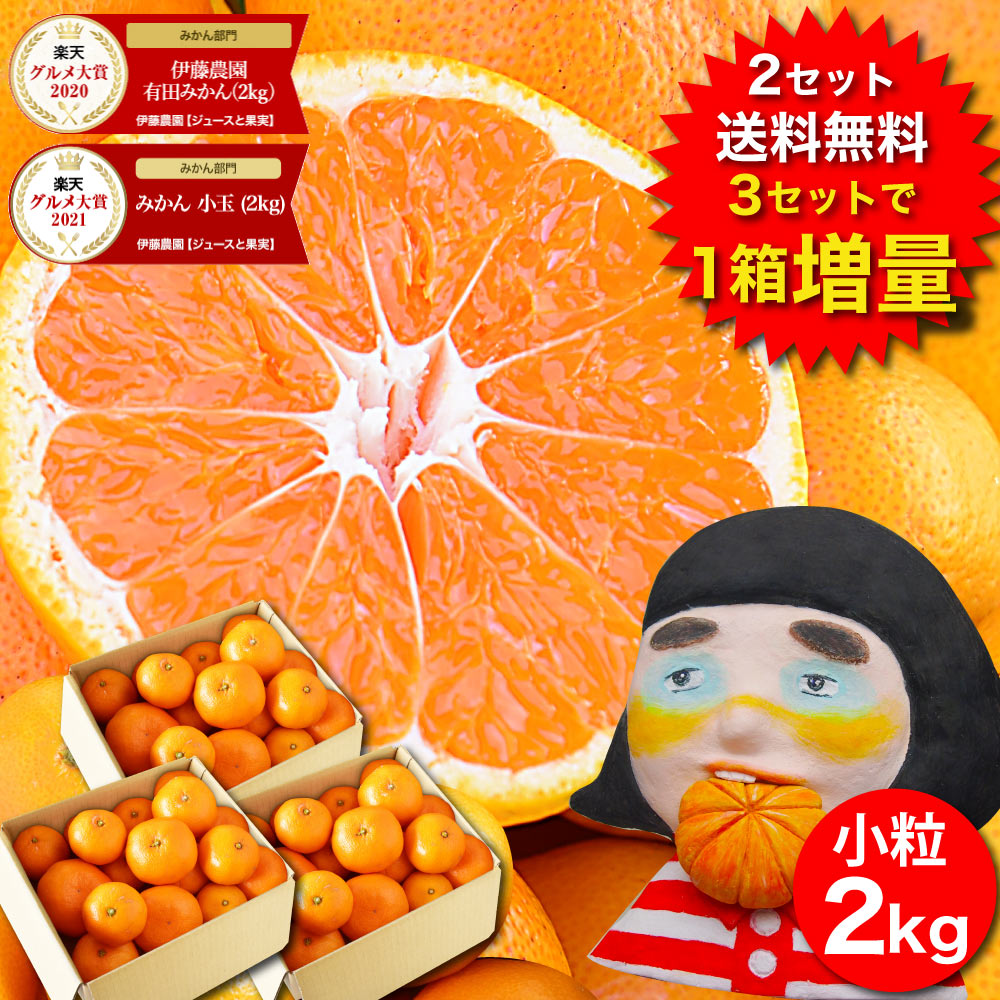 和歌山オリジナル品種‼️高糖度小玉みかん YN26 2kg