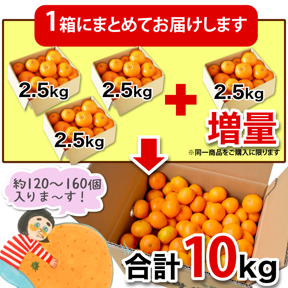 今なら複数購入で最大350円引き／ 【2箱購入で送料無料 3箱購入で10kg