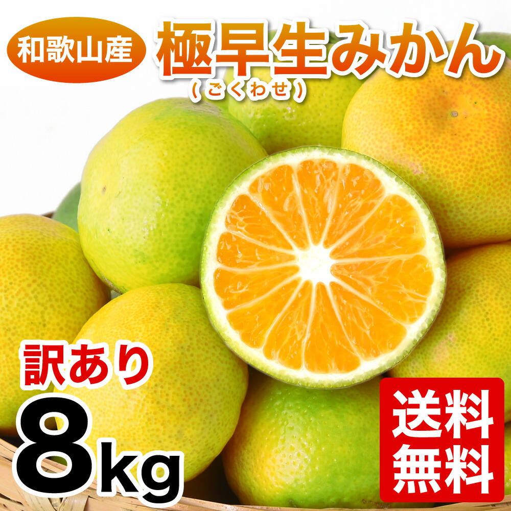 楽天市場 9月下旬以降に発送予定 みかん 訳あり 10kg 極早生みかん 小粒 小玉 送料無料 Sサイズ 2sサイズ 3sサイズ 有田みかん 蜜柑 ミカン フルーツ 温州 家庭用 果物 柑橘 和歌山 産地直送 取り寄せ お取り寄せグルメ 箱買い 光センサー選別 伊藤農園 ジュースと