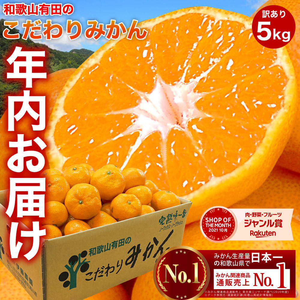 トモコ様専用 小粒みかん5kg - 果物