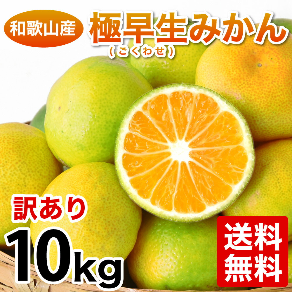 楽天市場 9月下旬以降に発送予定 みかん 訳あり 10kg 極早生みかん 小粒 小玉 送料無料 Sサイズ 2sサイズ 3sサイズ 有田みかん 蜜柑 ミカン フルーツ 温州 家庭用 果物 柑橘 和歌山 産地直送 取り寄せ お取り寄せグルメ 箱買い 光センサー選別 伊藤農園 ジュースと