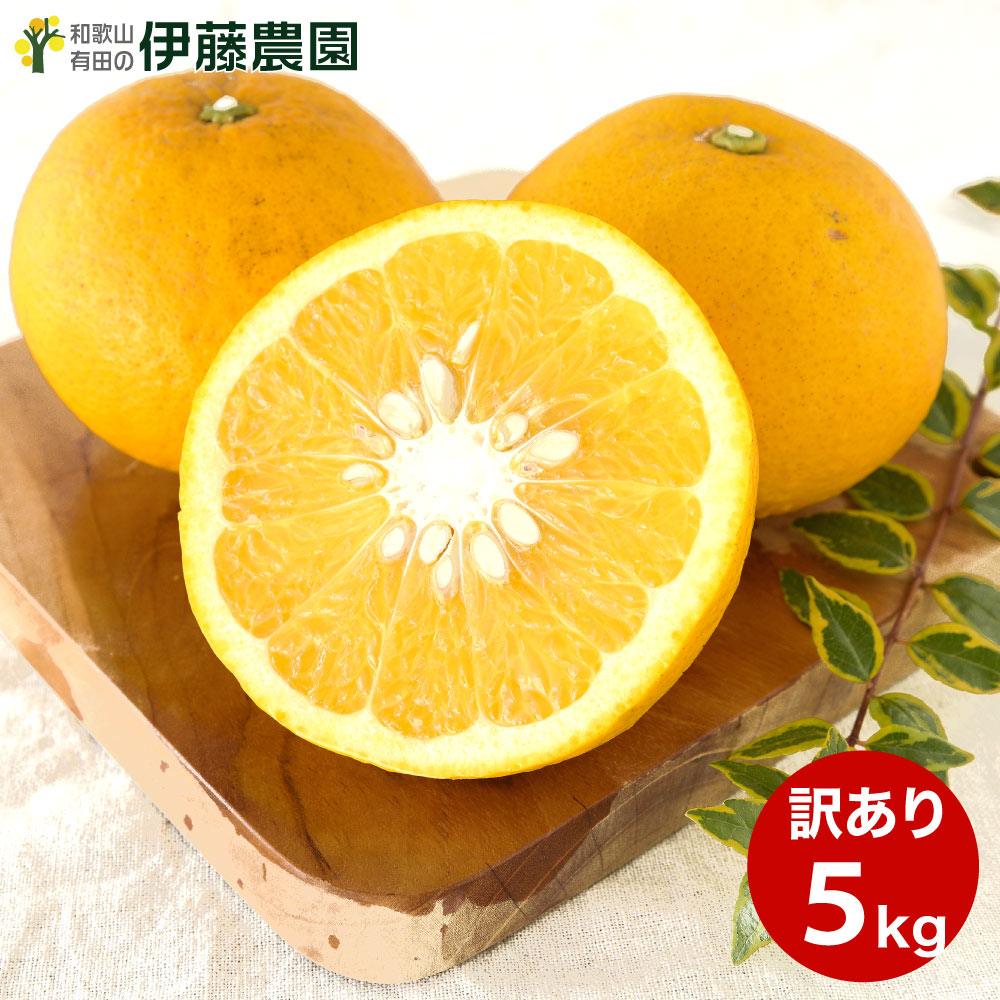 楽天市場】【期間限定SALE☆2,340円⇒1,980円】＼2箱購入で5kg分