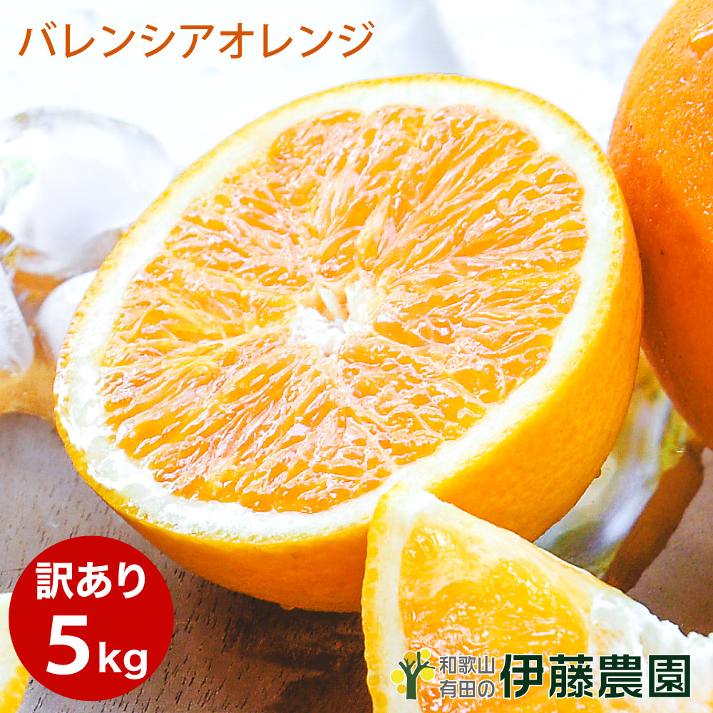 和歌山県紀南産　完熟南高梅2㎏ 秀品3L 訳ありバレンシアオレンジ5㎏ 紀州 生南高梅 熟青梅3Lサイズ優品 | おいしく食べて和歌山モール