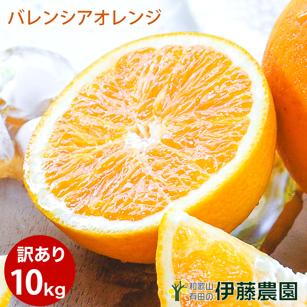 期間限定　田村バレンシアオレンジ　国産オレンジ　２Lサイズ　約7.5㎏　和歌山県 楽天市場】田村出荷組合 バレンシアオレンジ 赤秀 2L (38玉