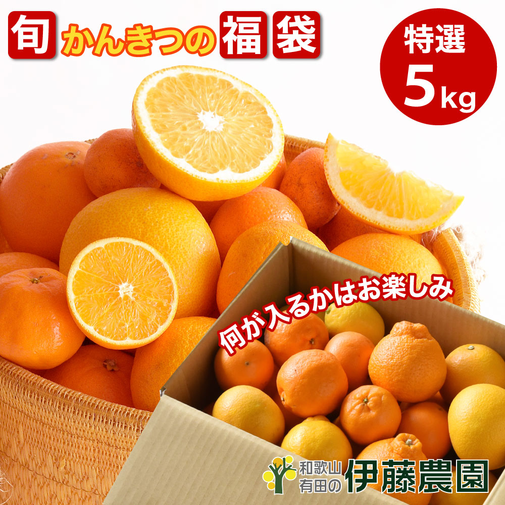 激安通販 imgrc0088994294.jpg アイドル