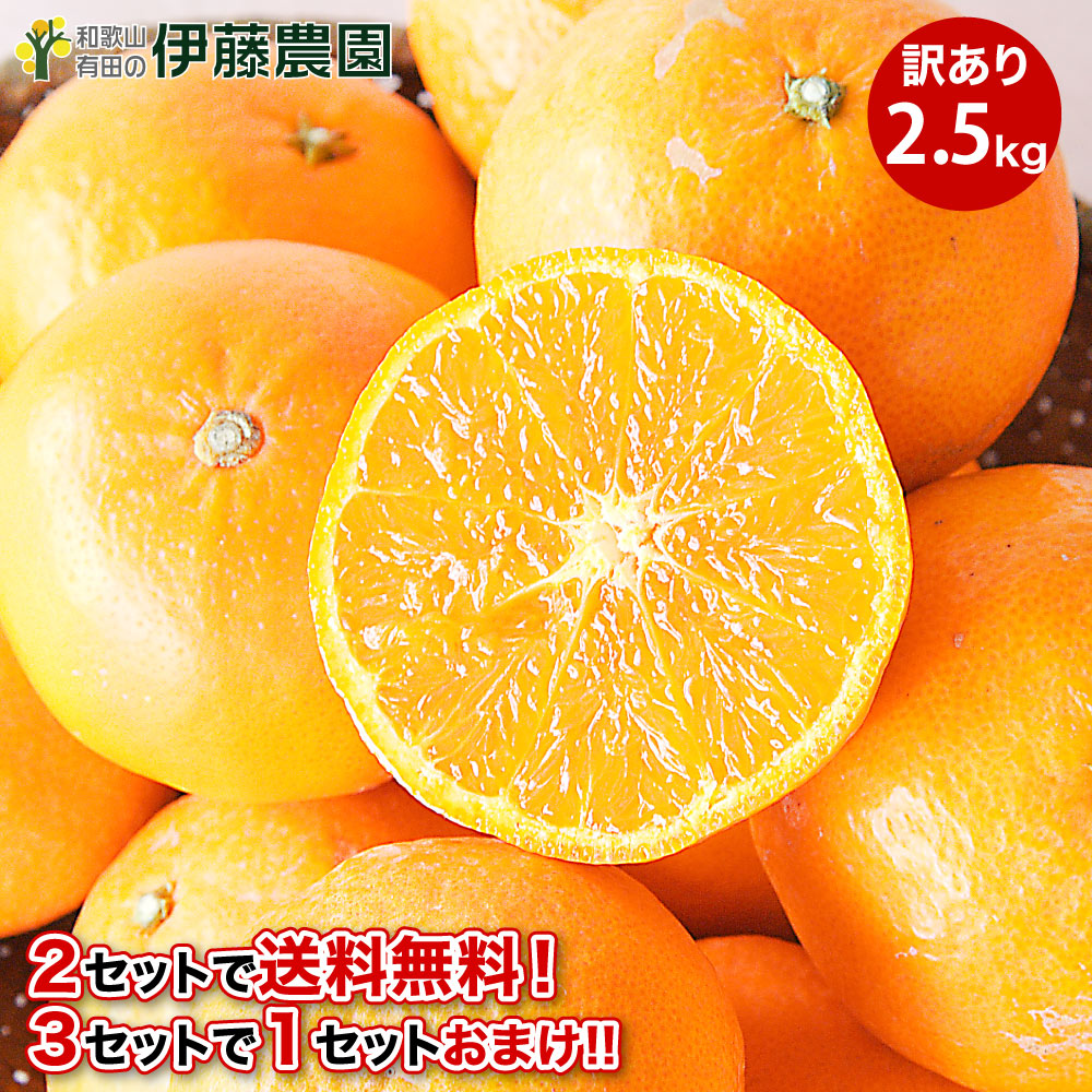 楽天市場】【残りわずか】＼2箱購入で5kg分送料無料 3箱購入で