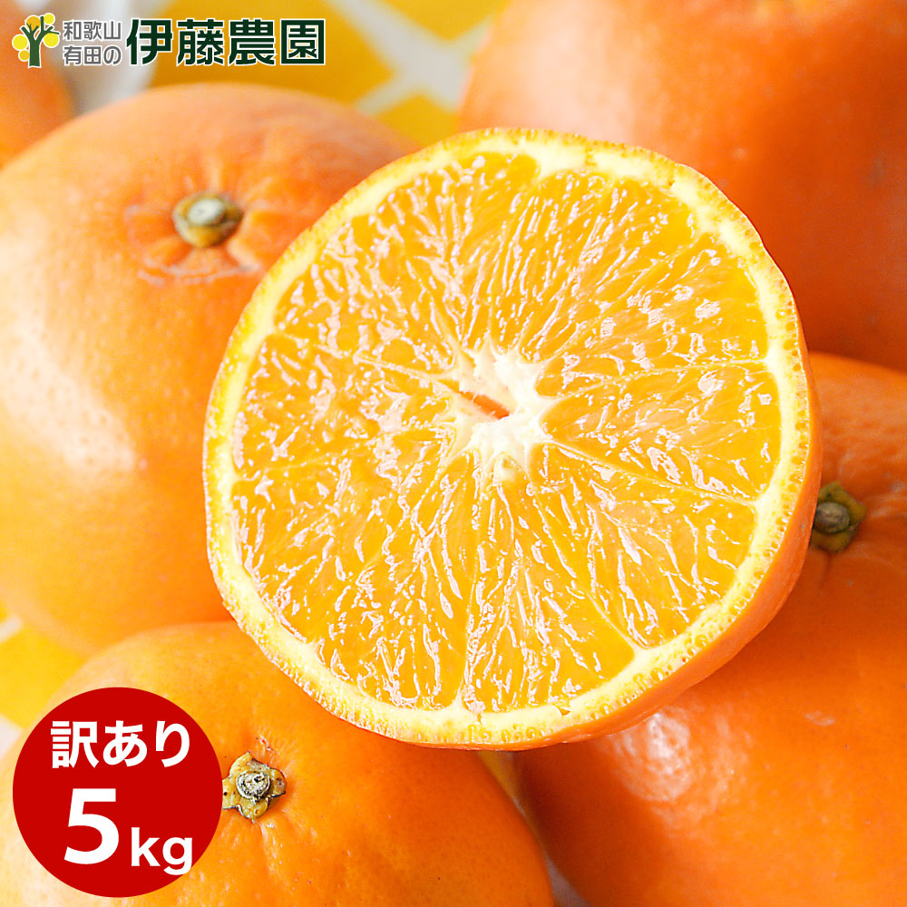 楽天市場】セミノール 訳あり 10kg 送料無料 和歌山 春 の