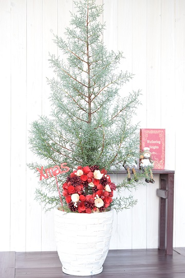 楽天市場 クリスマスツリー コニファー鉢植え ブルーアイス クリスマスリース付 大型 鉢色 ホワイト ロコネコ