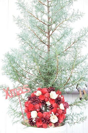 クリスマスツリー コニファー鉢植え ブルーアイス クリスマスリース付 大型 鉢色 ホワイト Prescriptionpillsonline Is