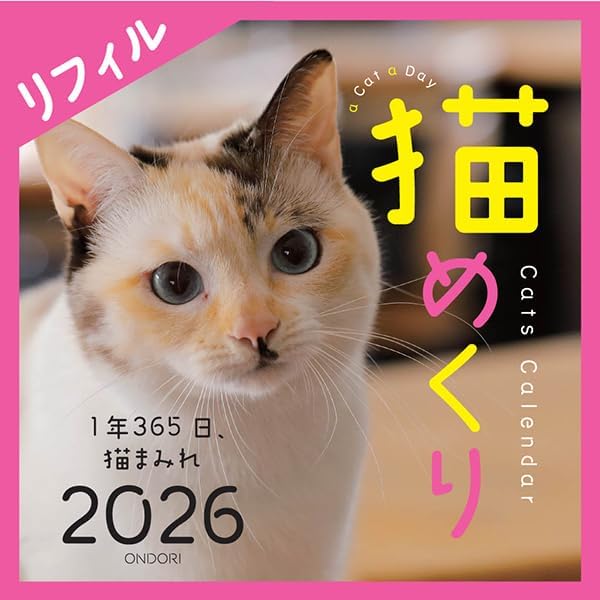 【楽天市場】ランキング受賞!! 中央経済社 シーオーツー 2026年 カレンダー リフィル 猫めくり CK-C26-02:ロコネコ