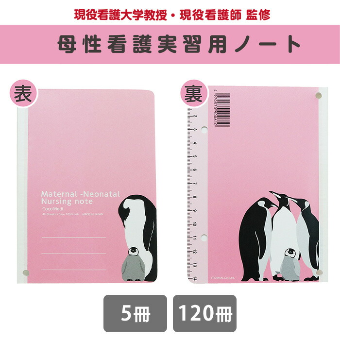 ＼パルプとなにがちがうの？／生まれ変わり紙ちり紙をわかりやすく明らかにする！