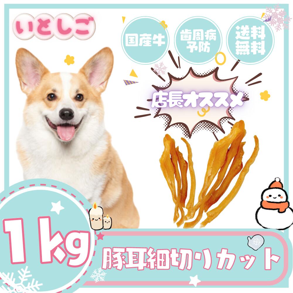 生まれのブランドで 2021年最新入荷 楽天ランキング1位 いとしご 豚耳細切りカット1kg 国産ジャーキー ドッグフード ポーク 業務用 大袋 大型犬 多頭飼い 犬 おやつ 犬用ジャーキー 豚耳 硬い ペットフード ペット dog 無添加 国産 健康 シニア グレインフリー elma-ultrasonic.be elma-ultrasonic.be