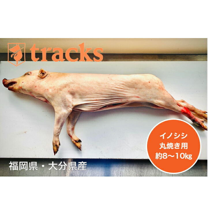 国産　猪肉　丸焼き用　業務用　約8～10KG　ジビエ　バーベキュー　送料無料　糸島ジビエ