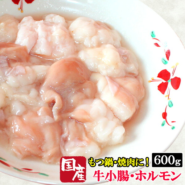 楽天市場 10 Off 国産 牛ホルモン 600g 300g 2p 特上ホルモン 牛もつ 牛小腸 単品 特上ホルモン もつ鍋の追加具材や焼肉に 新鮮な国産牛小腸のみ厳選 追加具材 もつ鍋用 冷凍 伊藤家の食卓