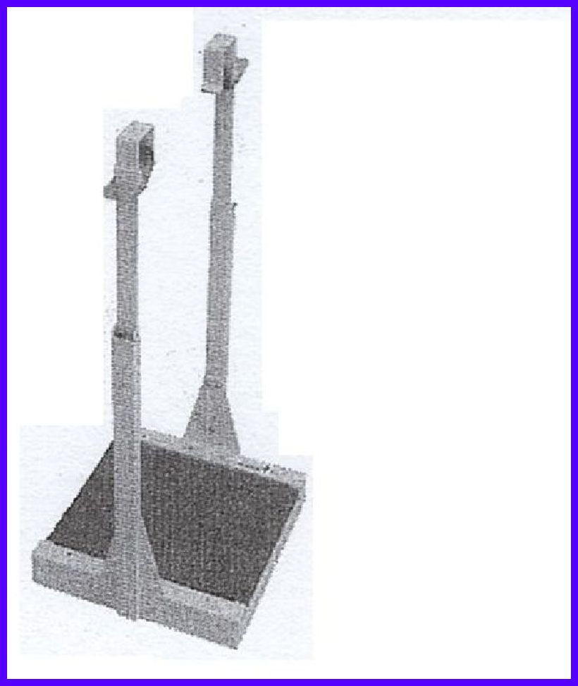 楽天市場】＜12月上旬確認・納期連絡＞タイガーカワシマ