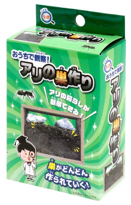 おうちで見ること！蟻の巣造営 820（まとめ買い36個ユニット） その他-知育玩具・学習玩具-おもちゃ