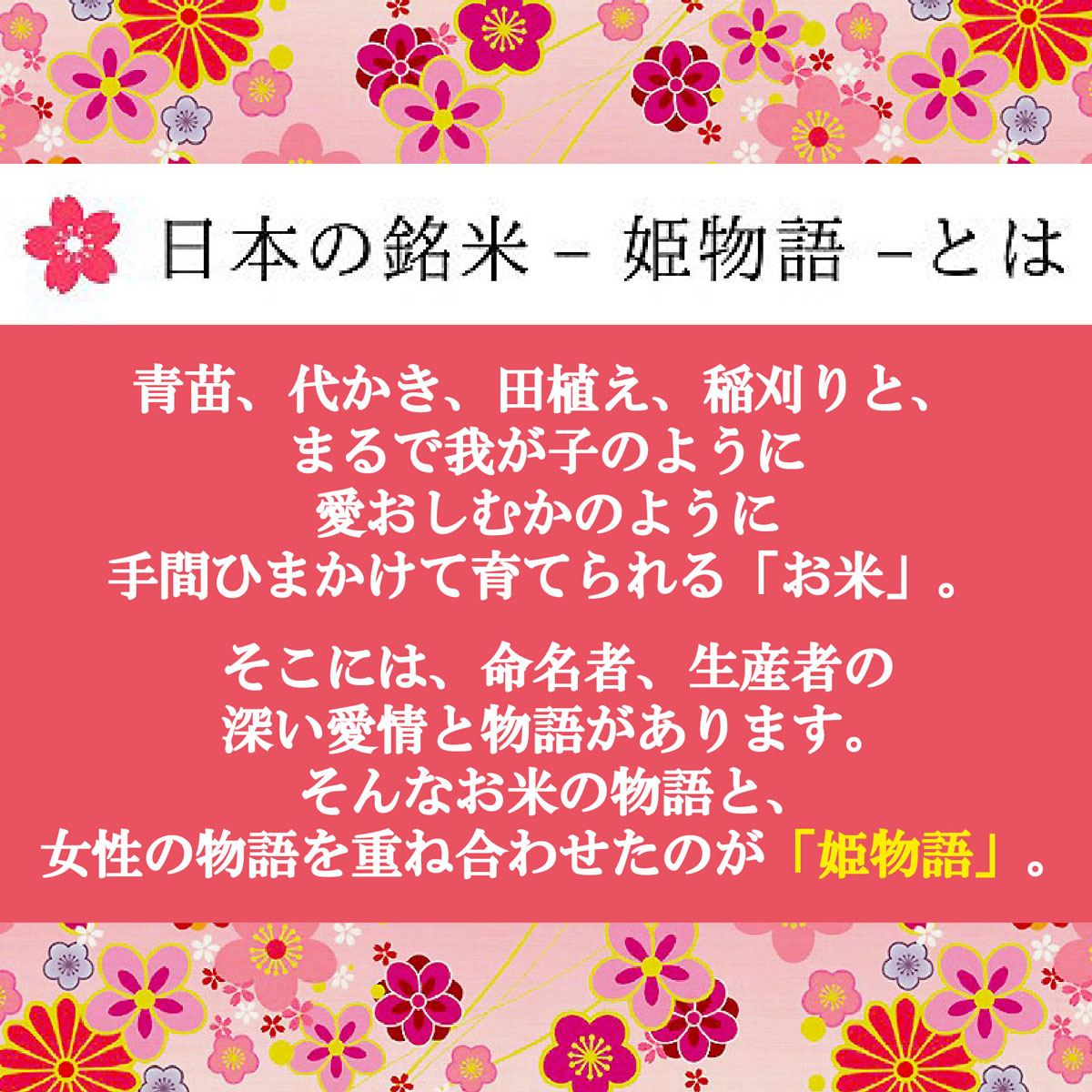 楽天市場 内祝い お返し 出産内祝い 結婚内祝い お米 ギフト カタログギフト と 姫物語 のセット ピンク レディー 七五三 入学内祝い 初節句 快気祝い 引き出物 プレゼント 日本の銘米 の姉妹品 送料無料 入学祝い 内祝いの お米ギフト マイライフ