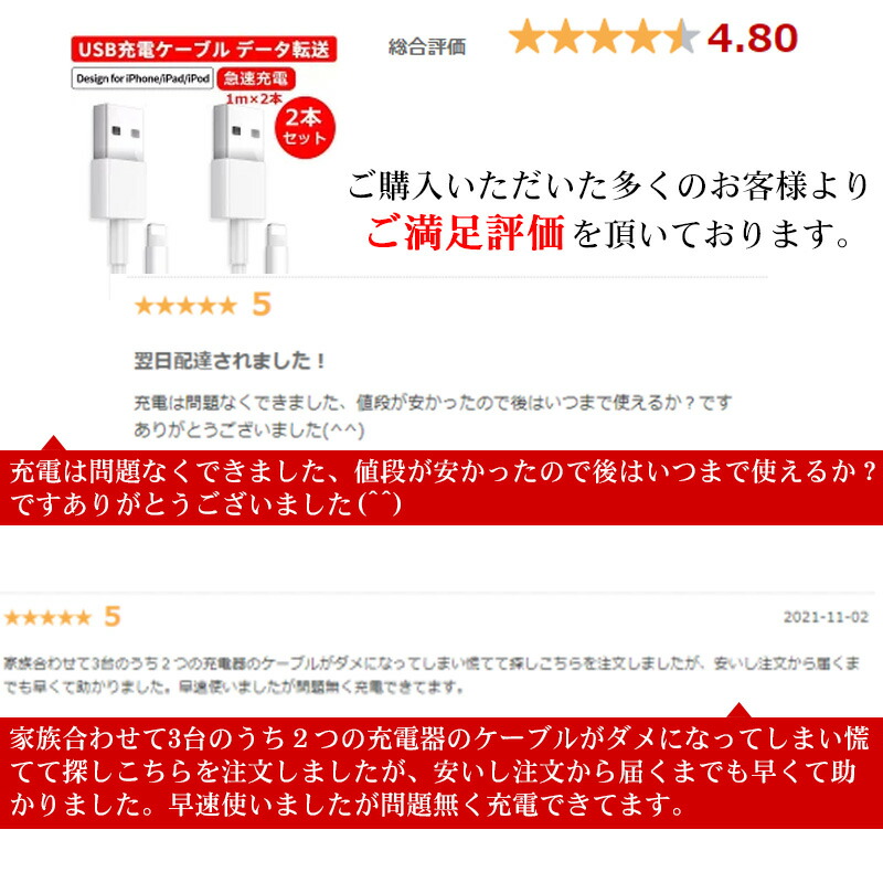 2本セットiPhone 充電 11 12 13 Max Mini Pro USB iPad iPhone iphone充電コード アイフォン ケーブル  データ転送 充電ケーブル 驚きの価格 ケーブル