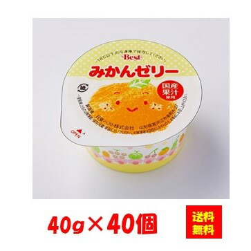 楽天市場】＜冷凍＞ 【送料無料】 27051x40 山形県産ふじりんご
