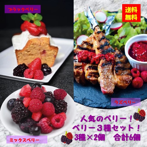 ＜冷凍＞ 【送料無料】 set0041 人気のベリー！ベリー3種セット！ 3種×2個 合計6個 アスク