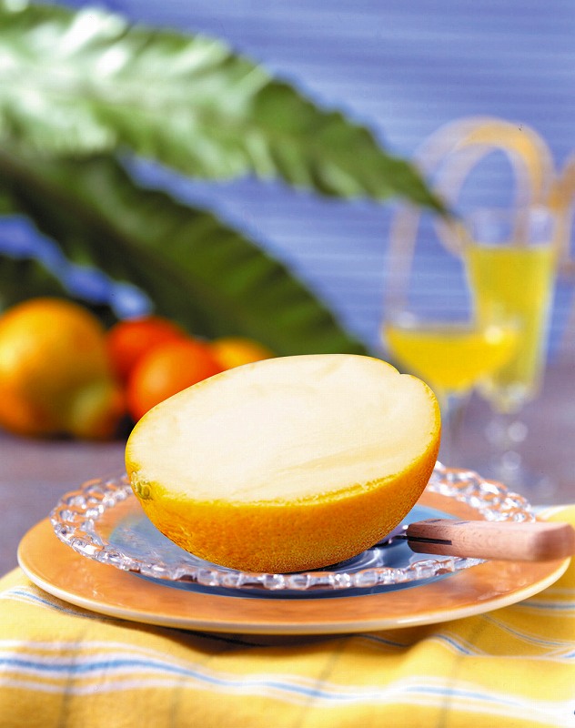 楽天市場】オレンジ(ラウンド)シャーベット 約200g(約110ml中身) 13048